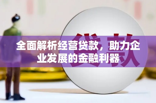 景宁全面解析经营贷款，助力企业发展的金融利器