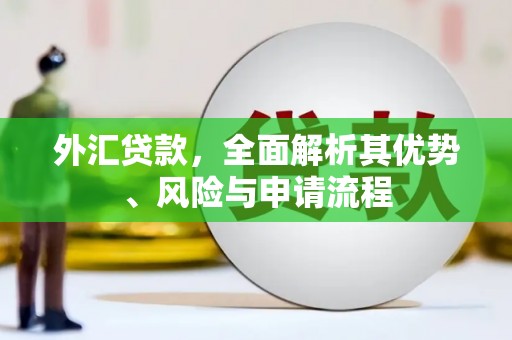 景宁外汇贷款，全面解析其优势、风险与申请流程
