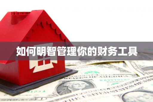 景宁如何明智管理你的财务工具
