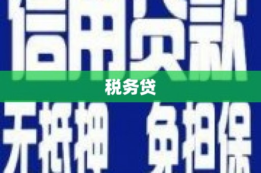 景宁税务贷