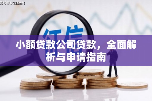 景宁小额贷款公司贷款，全面解析与申请指南
