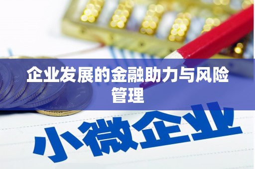 景宁企业发展的金融助力与风险管理