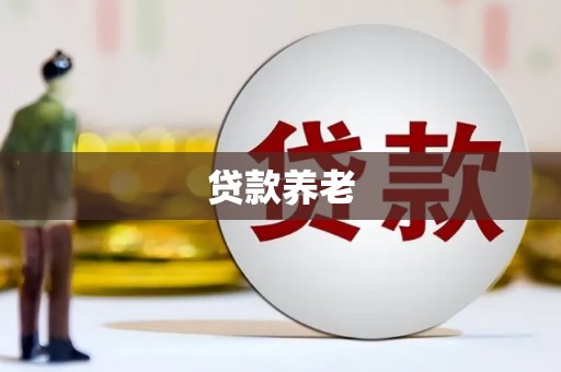 景宁贷款养老