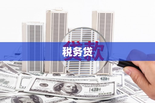 景宁税务贷