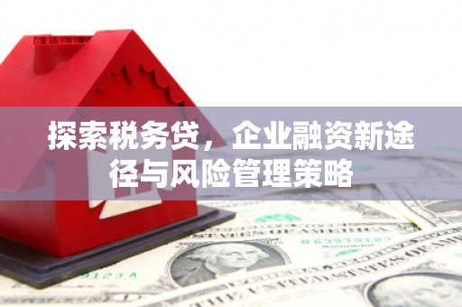 景宁探索税务贷，企业融资新途径与风险管理策略