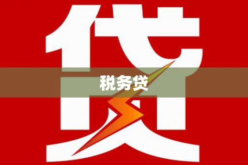 景宁税务贷