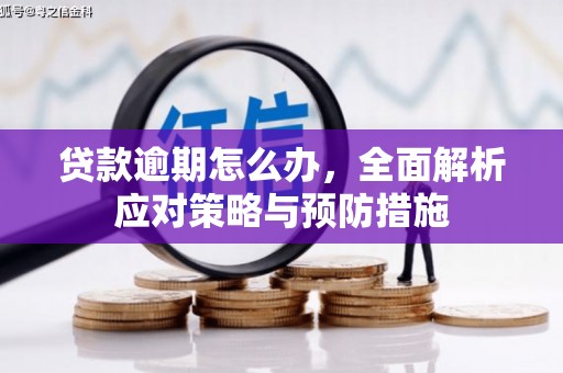 景宁贷款逾期怎么办，全面解析应对策略与预防措施