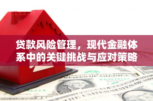 景宁贷款风险管理，现代金融体系中的关键挑战与应对策略