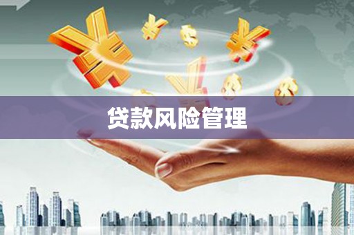 景宁贷款风险管理