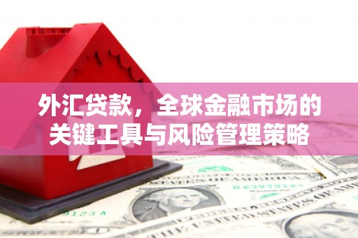 景宁外汇贷款，全球金融市场的关键工具与风险管理策略