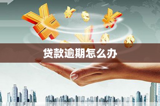 景宁贷款逾期怎么办