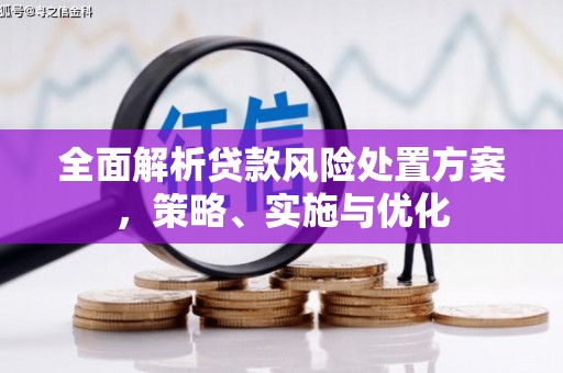 景宁全面解析贷款风险处置方案，策略、实施与优化