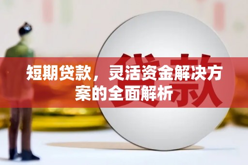 景宁短期贷款，灵活资金解决方案的全面解析