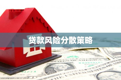 景宁贷款风险分散策略