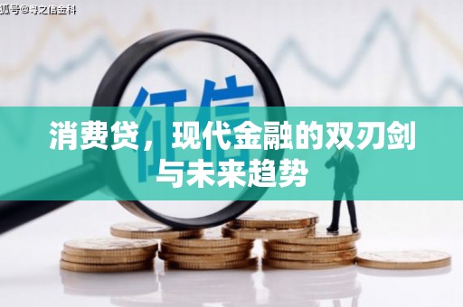 景宁消费贷，现代金融的双刃剑与未来趋势