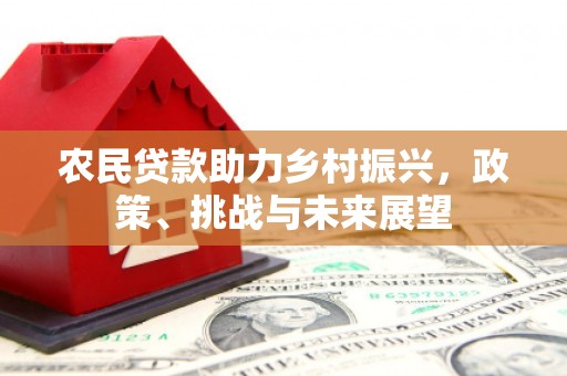 景宁农民贷款助力乡村振兴，政策、挑战与未来展望
