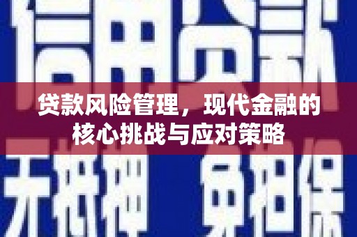 景宁贷款风险管理，现代金融的核心挑战与应对策略
