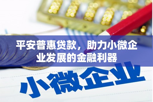 景宁平安普惠贷款，助力小微企业发展的金融利器