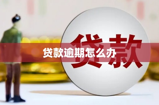 景宁贷款逾期怎么办