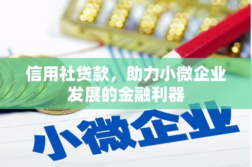 景宁信用社贷款，助力小微企业发展的金融利器