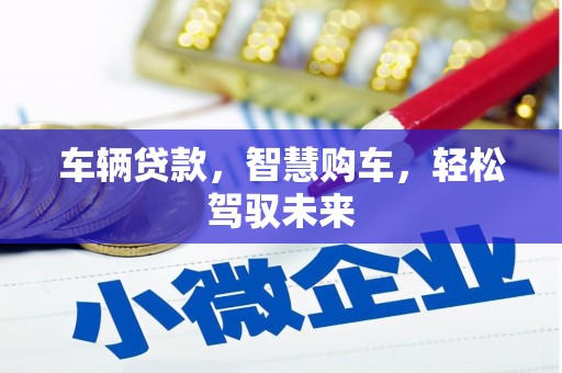 景宁车辆贷款，智慧购车，轻松驾驭未来