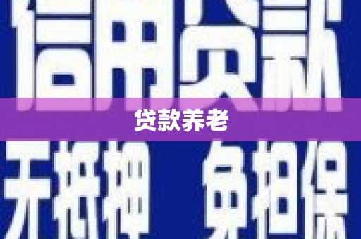 景宁贷款养老