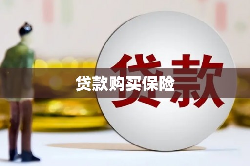 景宁贷款购买保险
