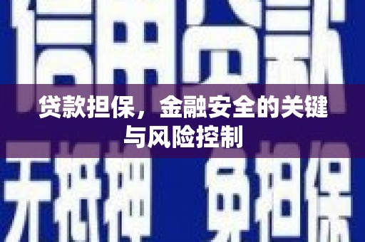 景宁贷款担保，金融安全的关键与风险控制