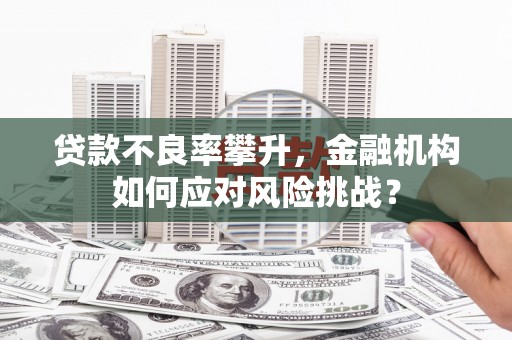 景宁贷款不良率攀升，金融机构如何应对风险挑战？