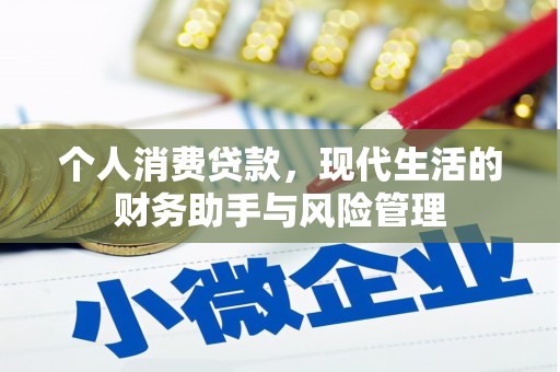 景宁个人消费贷款，现代生活的财务助手与风险管理