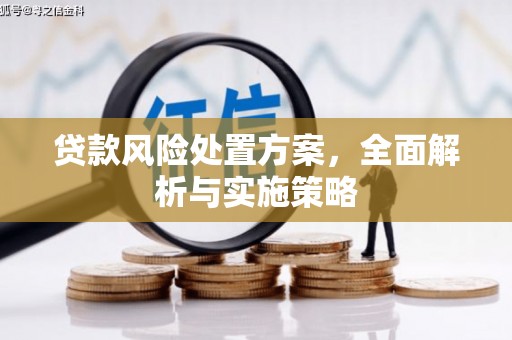 景宁贷款风险处置方案，全面解析与实施策略